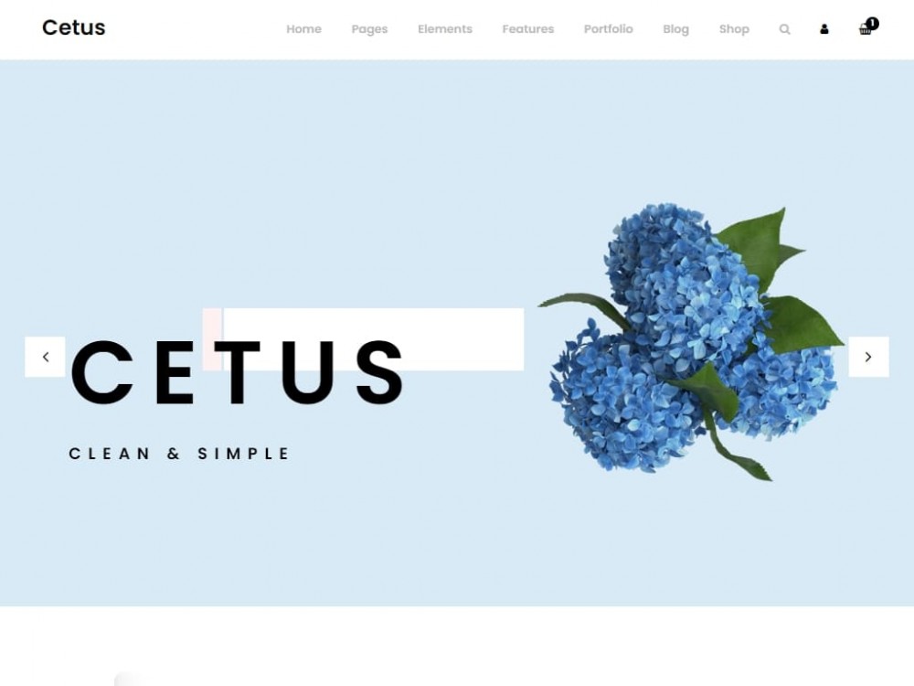 Шаблон CETUS для многостраничного сайта