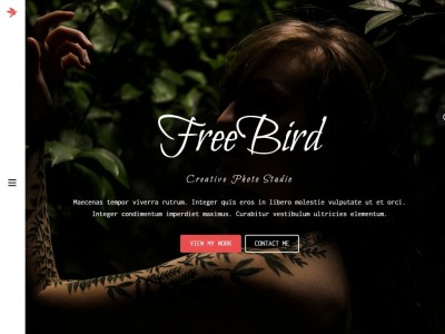 FreeBird