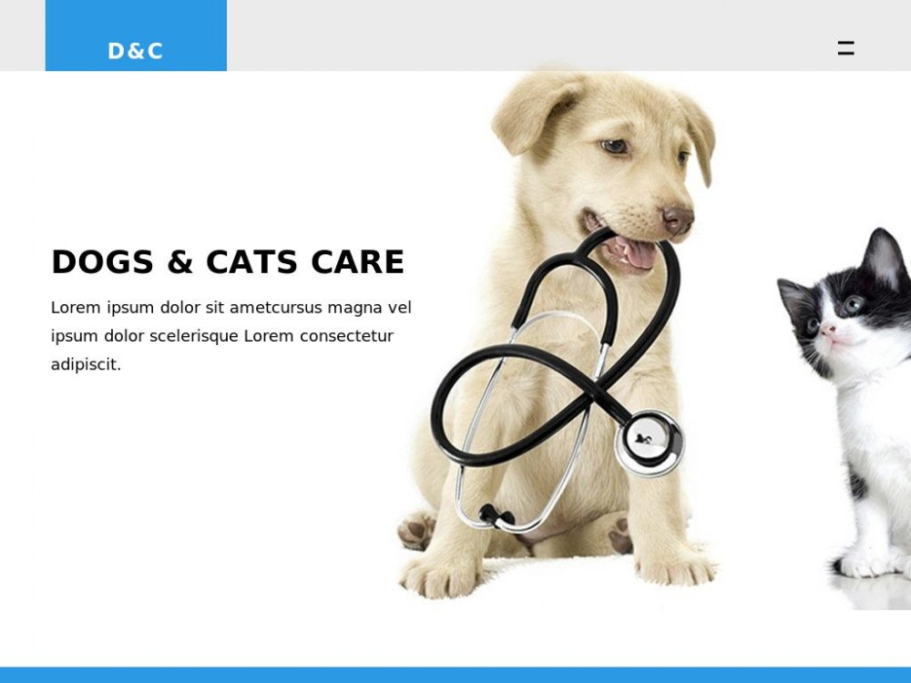 Шаблон Dogs and Cats Clinic - посадочная страница Landing page