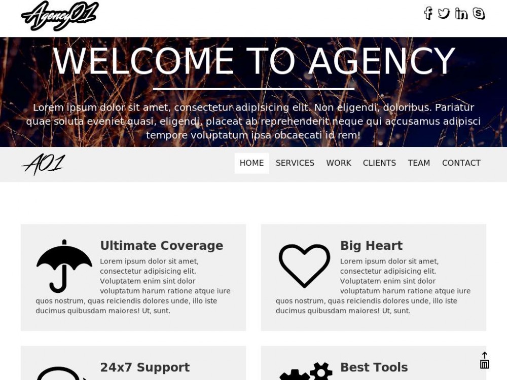 Шаблон Agency01 - посадочная страница Landing page