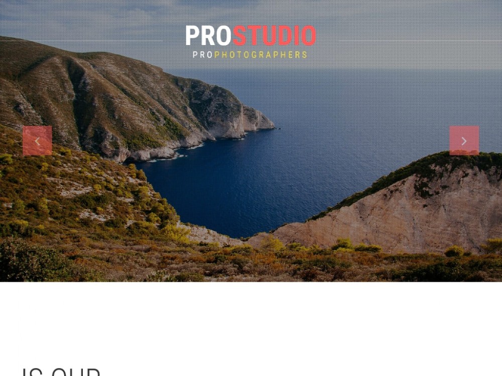 Шаблон Professional Photography - посадочная страница Landing page