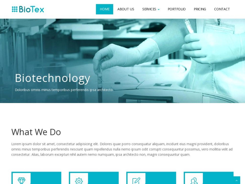 Шаблон BioTex для сайта портфолио